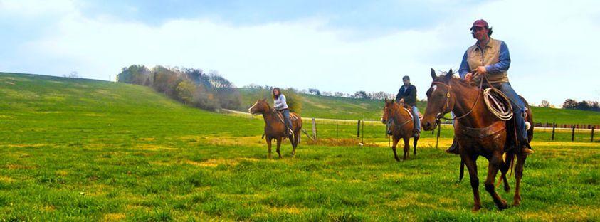 The Ranch Tennessee